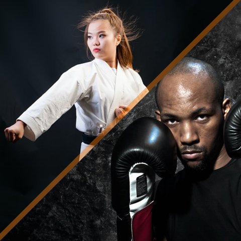 Martial Arts and Boxing