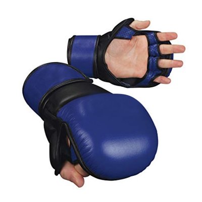 MMA Gloves